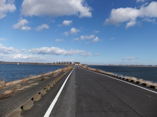 渡良瀬遊水地１