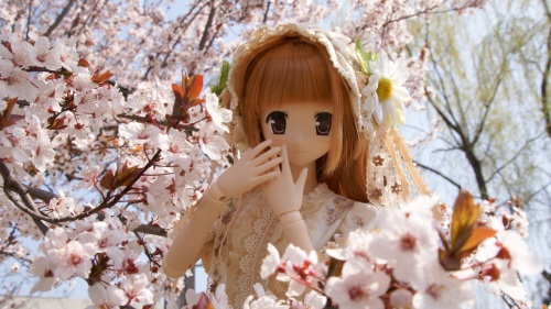 京都植物園　桜と陽菜ちゃん.jpg