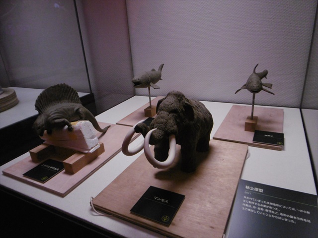 P1310284.JPG