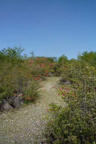 0526-2.jpg