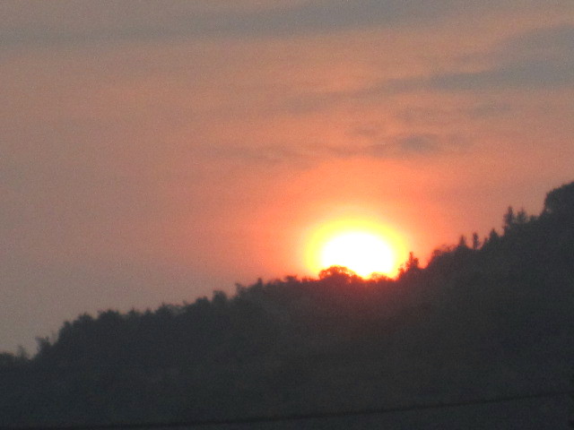 IMG_4547.jpg