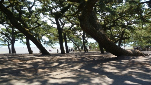 20150510 10422201.JPG