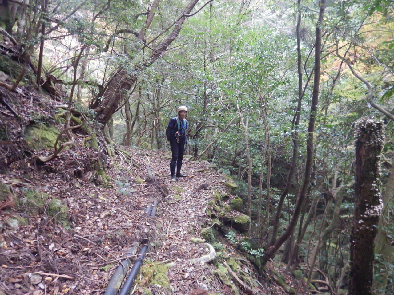 DSCN7545やっと水平道へ出た.jpg