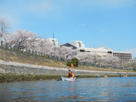 DSCN4743.JPG