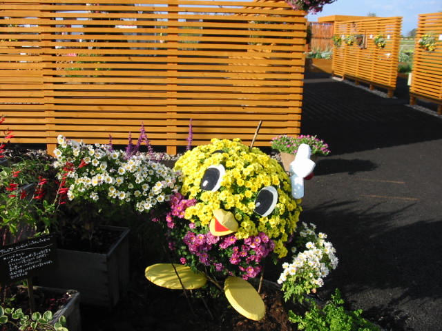 ryokkatottori 028.JPG