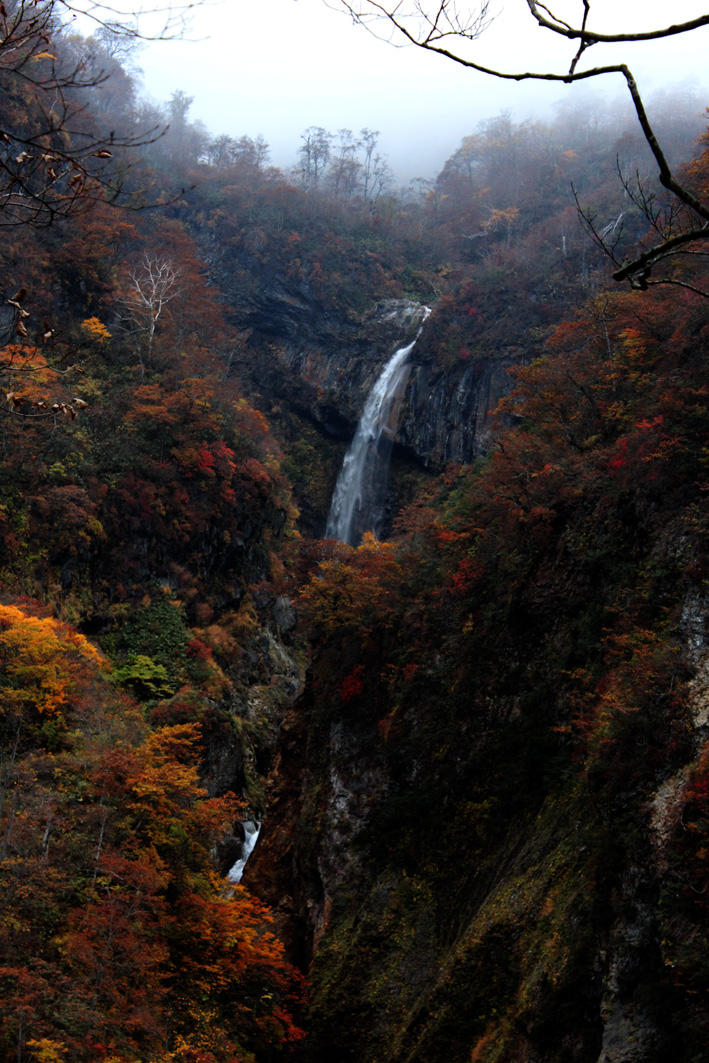 131101_2.jpg