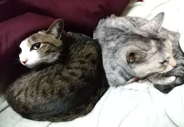 DSC_0404.JPG