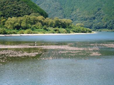 佐田の沈下橋