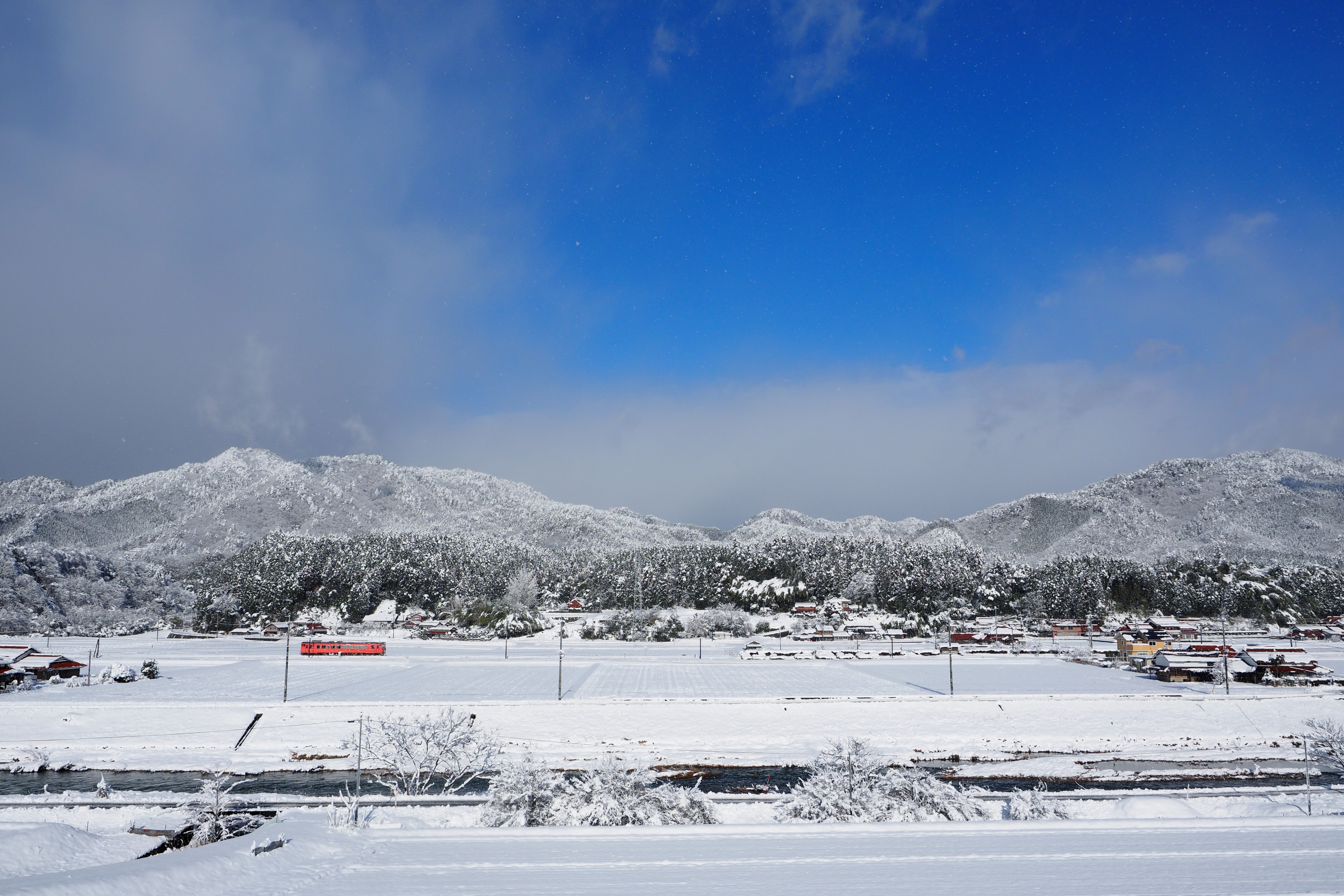 P1105560-1.jpg
