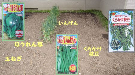 ほうれん草etc.jpg