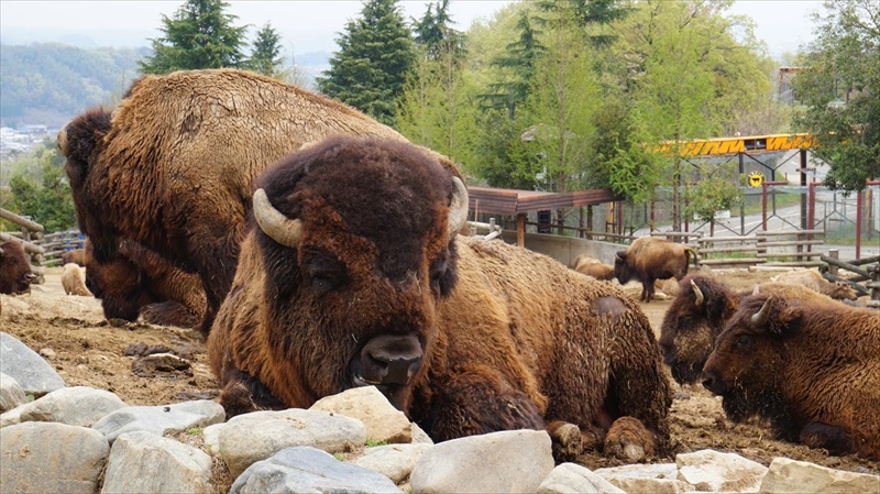 20150420 11181701.JPG