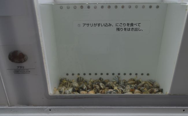 DSC_0188.JPG