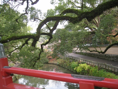 IMG_0419 (450x338).jpg