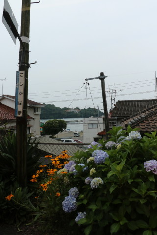 H41A3289.JPG