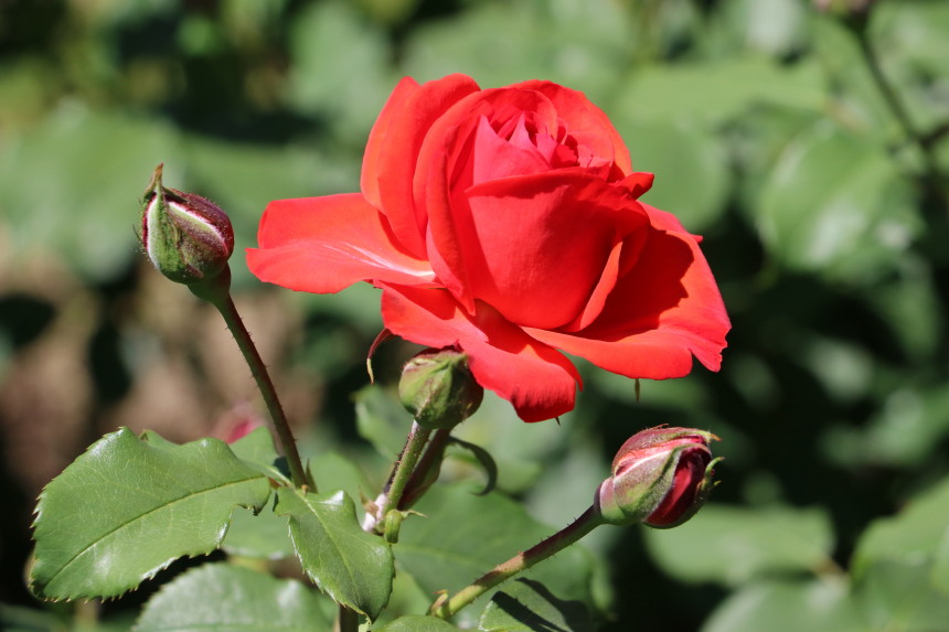 H41A5865.JPG