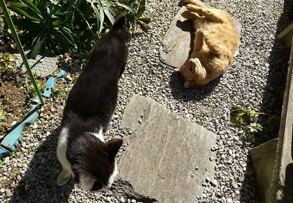 DSC_9513.JPG
