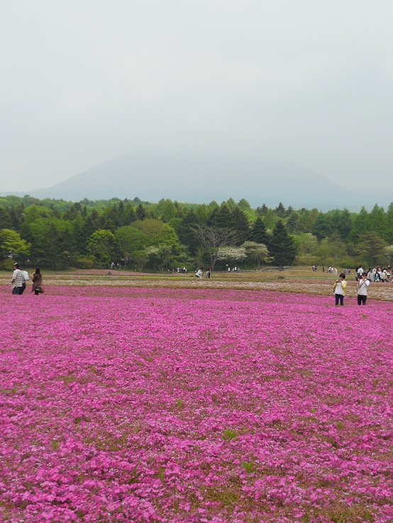 2013-5-26 017s.JPG