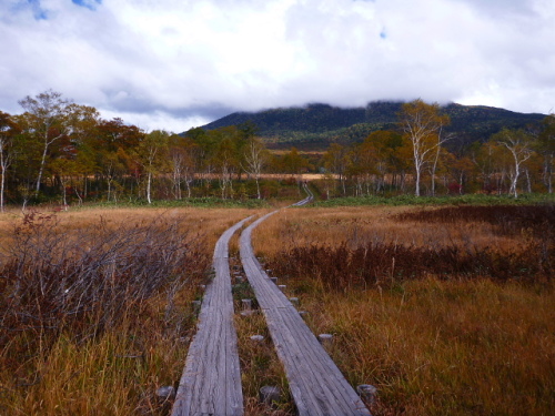 尾瀬満喫ツアー（健脚）2013101015.jpg