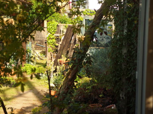 2015-05-01 14.59.54.jpg