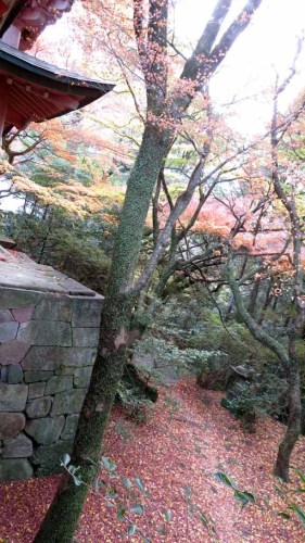 柞原神社 (6).JPG