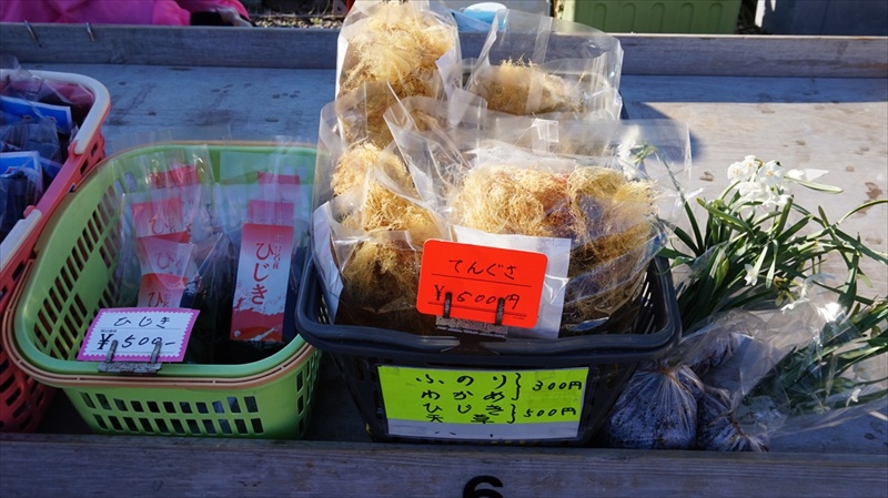 20150108 13410801.JPG