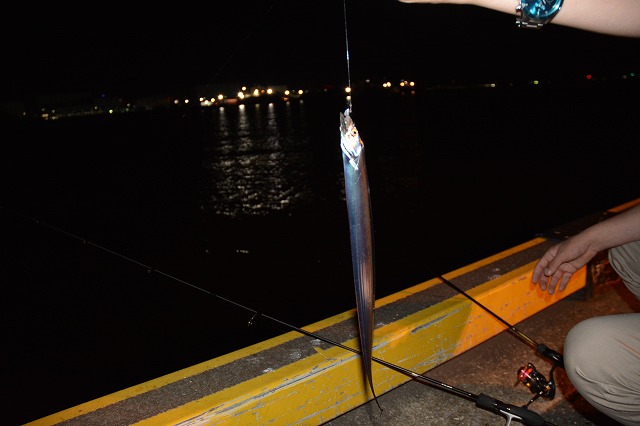 showPhoto (640×426)