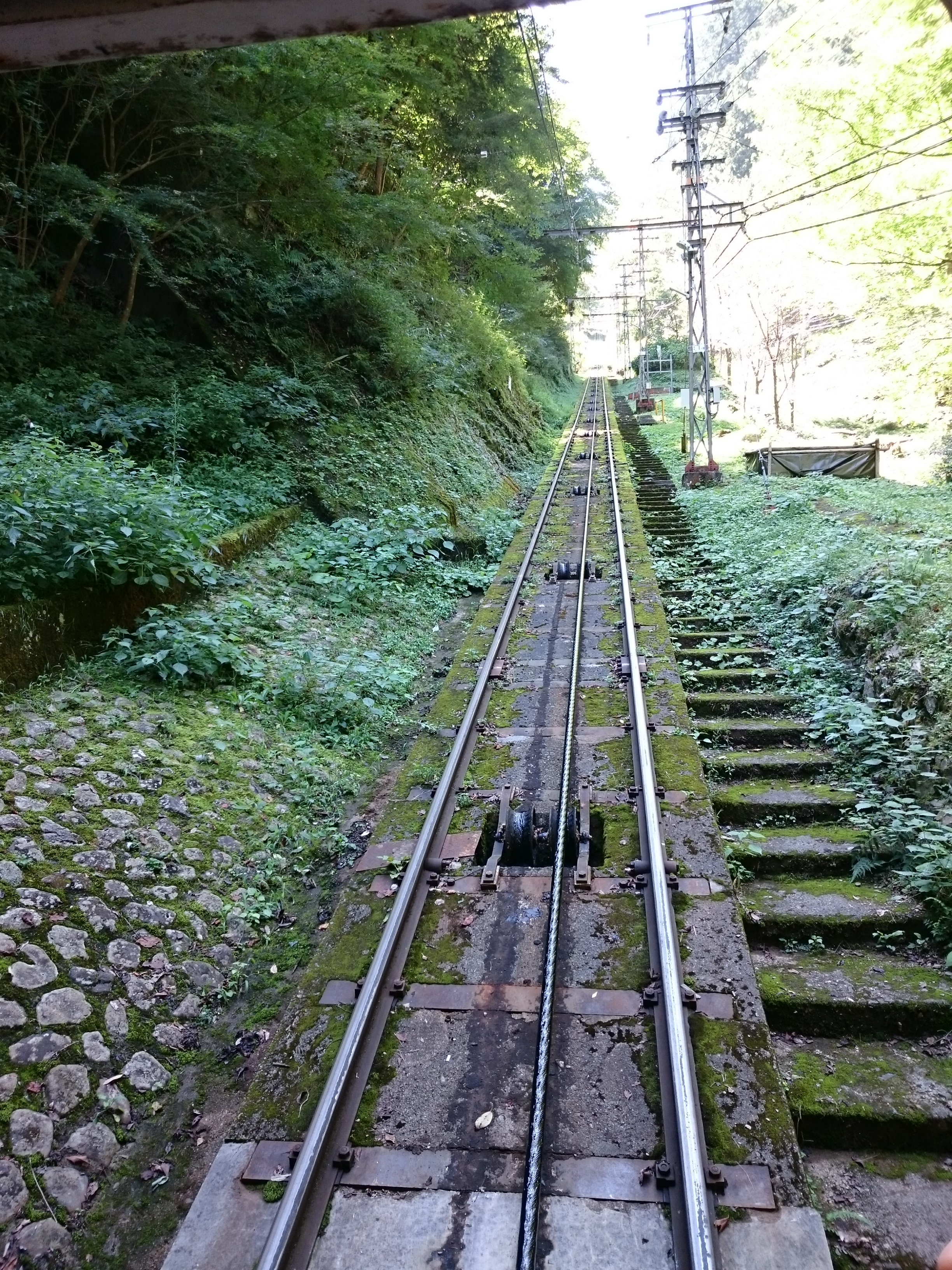 DSC_0710.JPG
