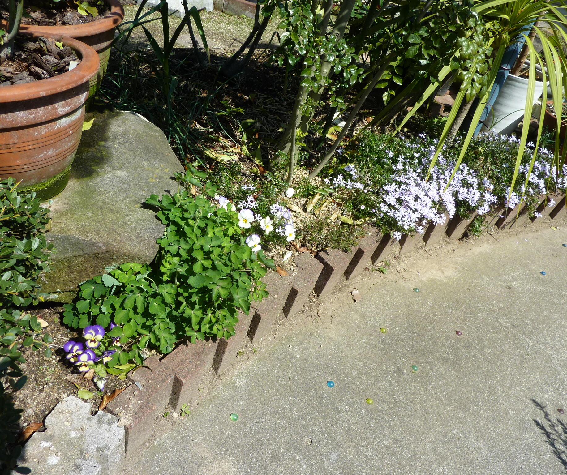 130407-siba-4.jpg