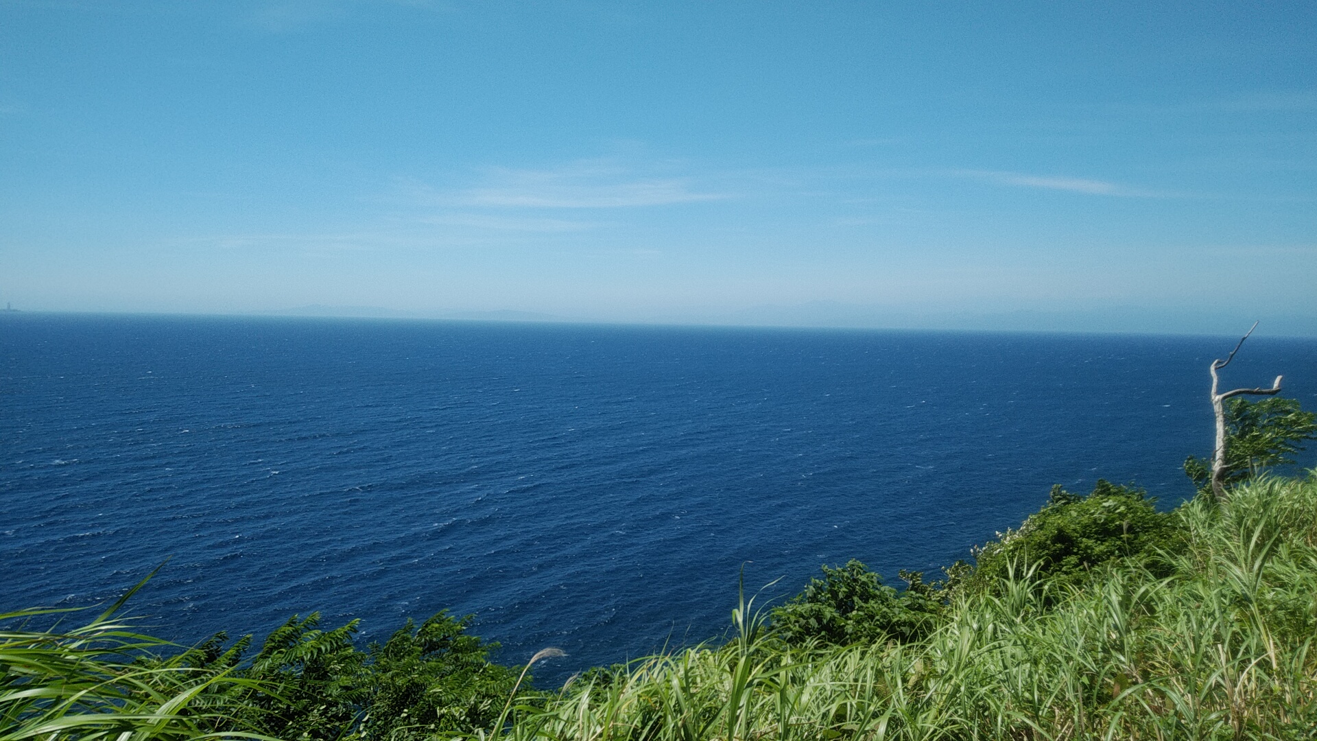 20220629  DSC_0005.jpg