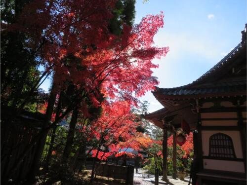 赤山禅寺 (30).jpg