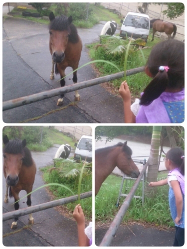 2014-08-02-21-08-06_deco (480x640).jpg