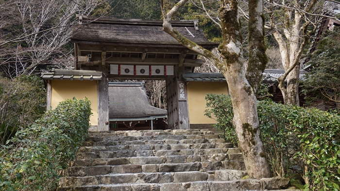 20160323 14511201.JPG