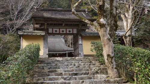 20160323 14511201.JPG