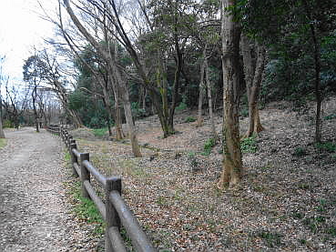 160213-28.JPG