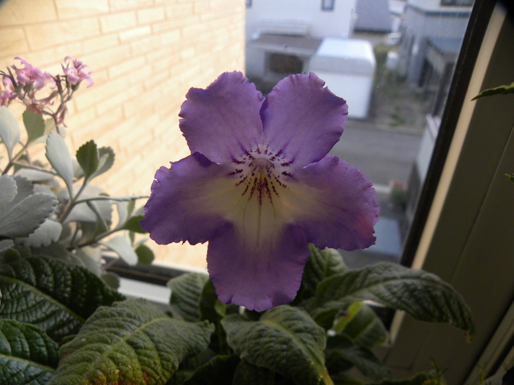 DSCN5493.JPG