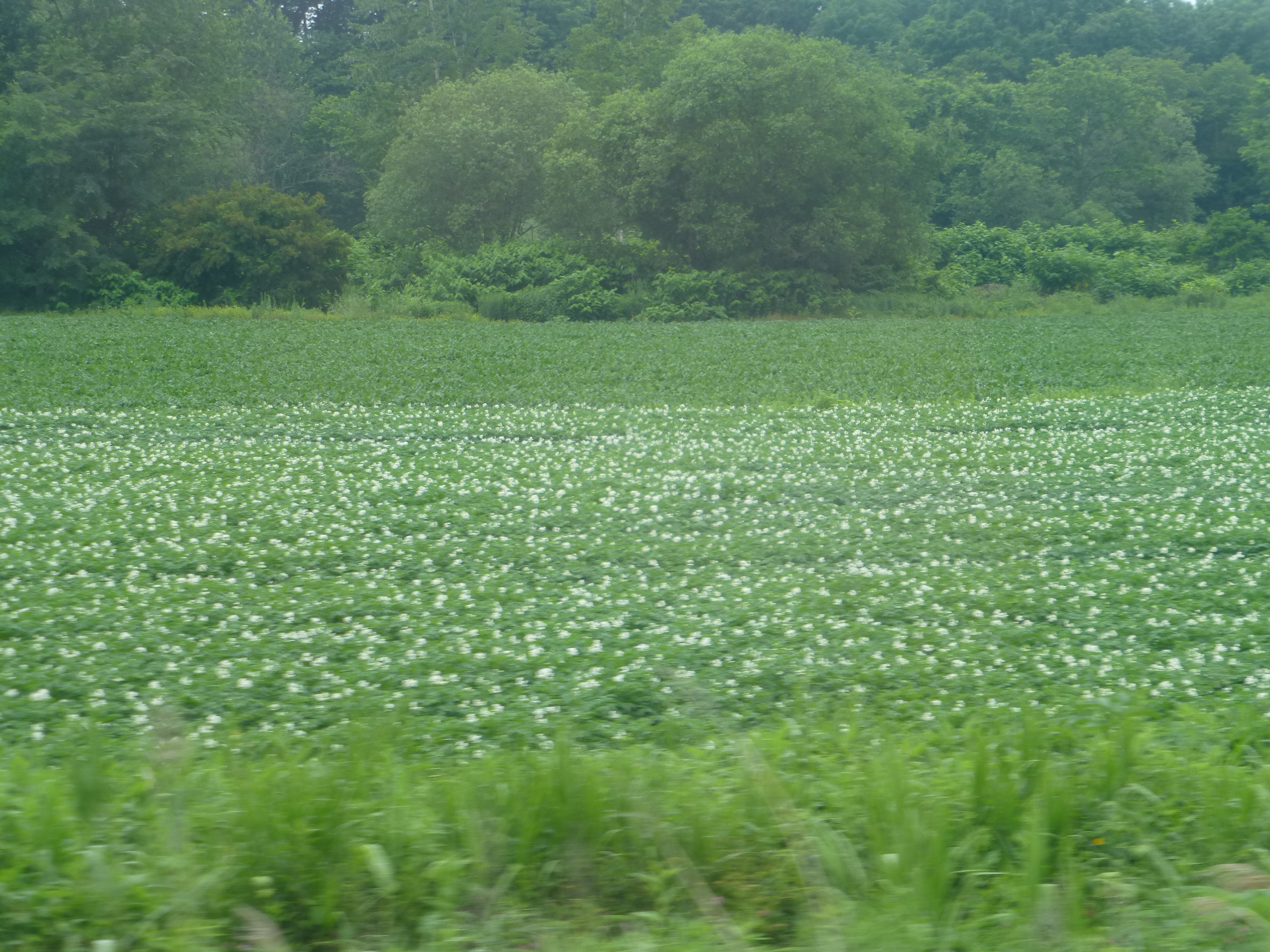 P1150131.JPG