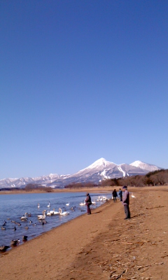 PA0_0520.JPG
