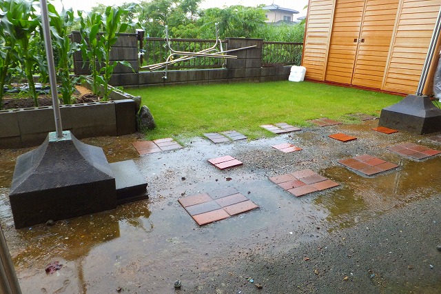 2014.06.07  今日も雨です。 001.jpg