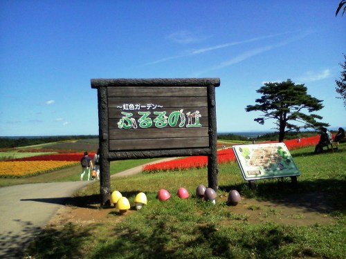 ヤクライガーデン2016年 (14).JPG