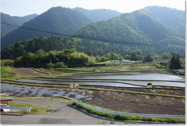 47左は田んぼ