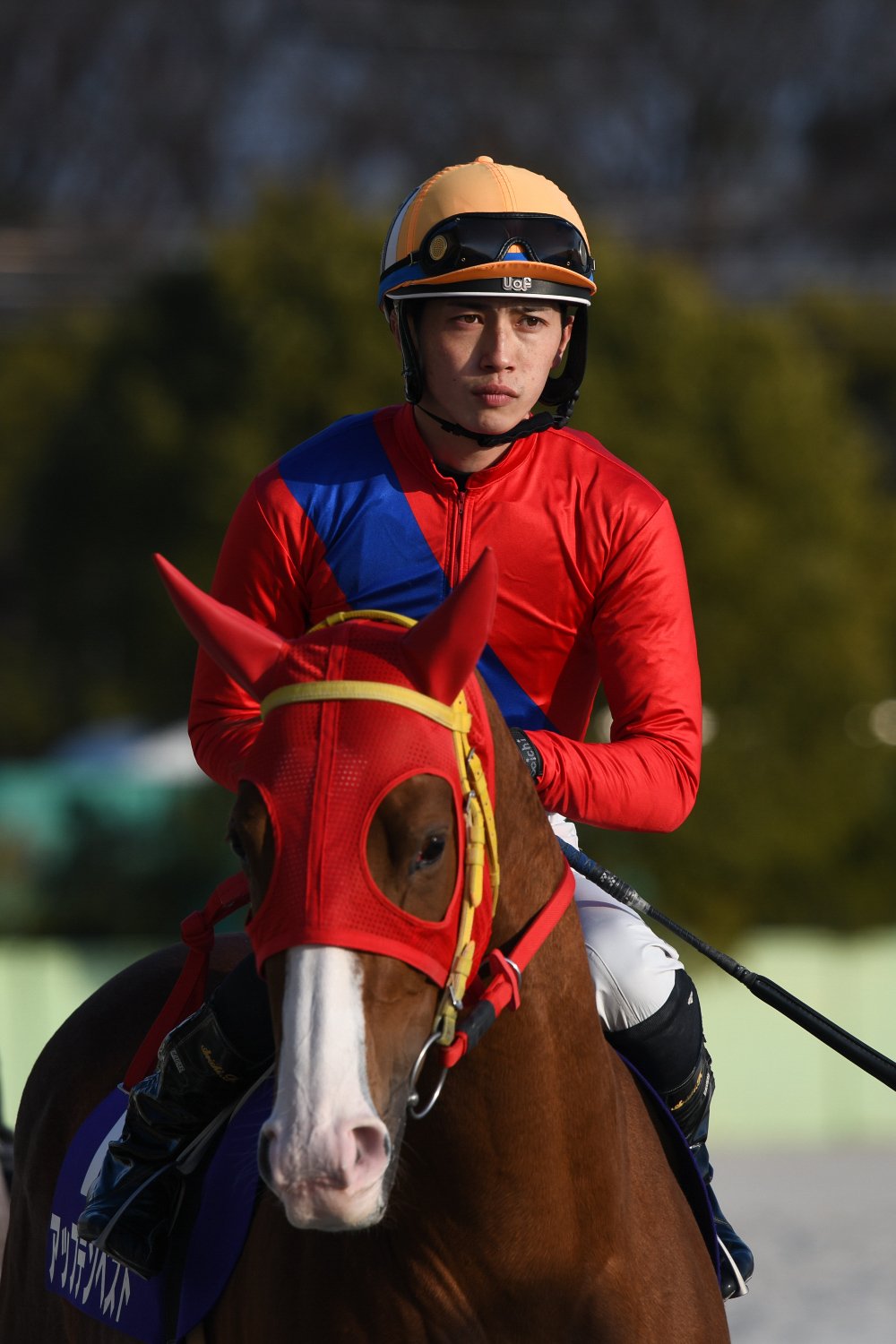 梅桜賞２２駒野ｃ.jpg