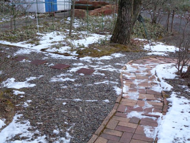 240112garden.jpg