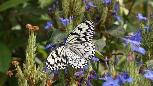 20150223 14290901.JPG