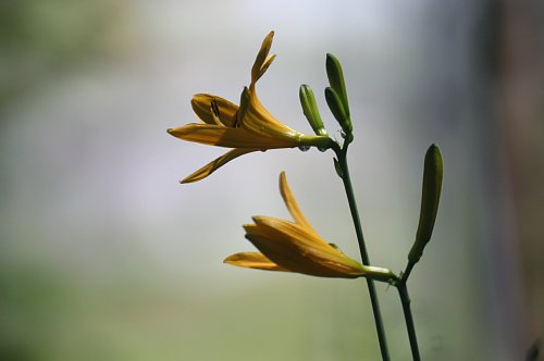 0513-2.jpg