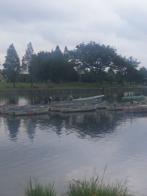 DVC00327.jpg