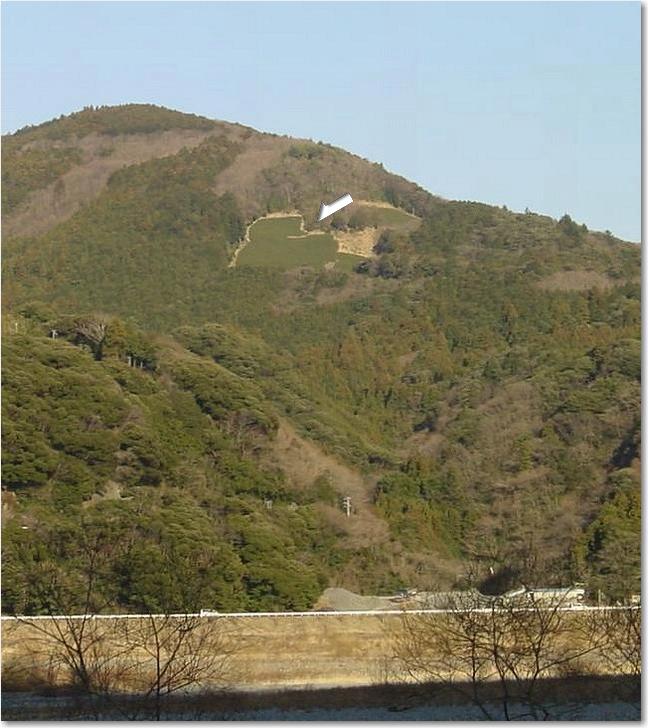 コピー ～ 62山上の茶畑.JPG