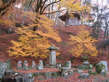 1¤ªÃÏ¢¤µ¤ޤȹÈÍդΤ¸¤夦¤¿¤ó.jpg