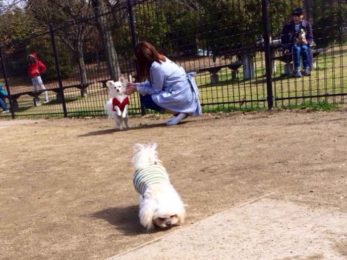201403231057_2787_iphone.jpg