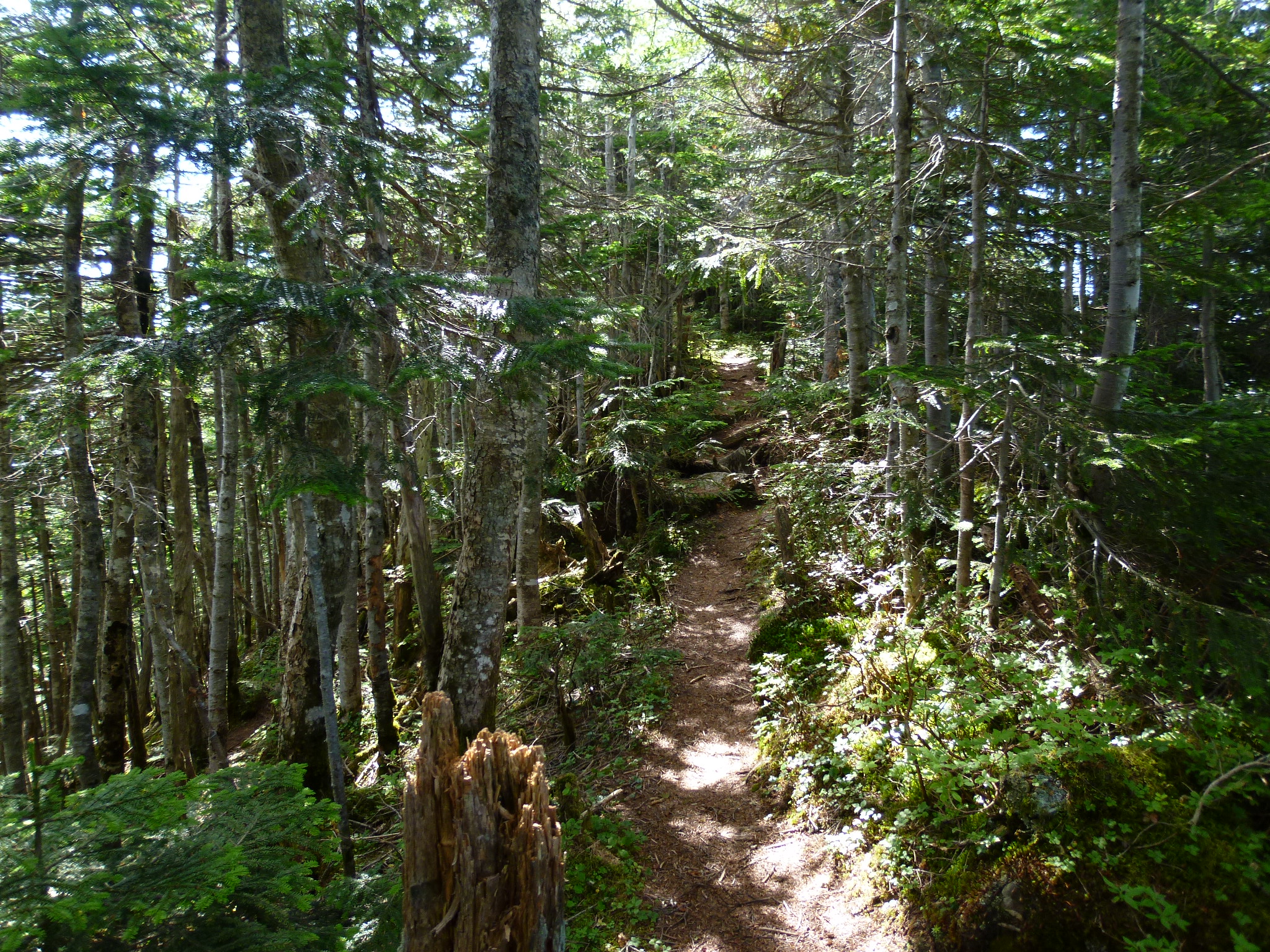 P1030345.JPG