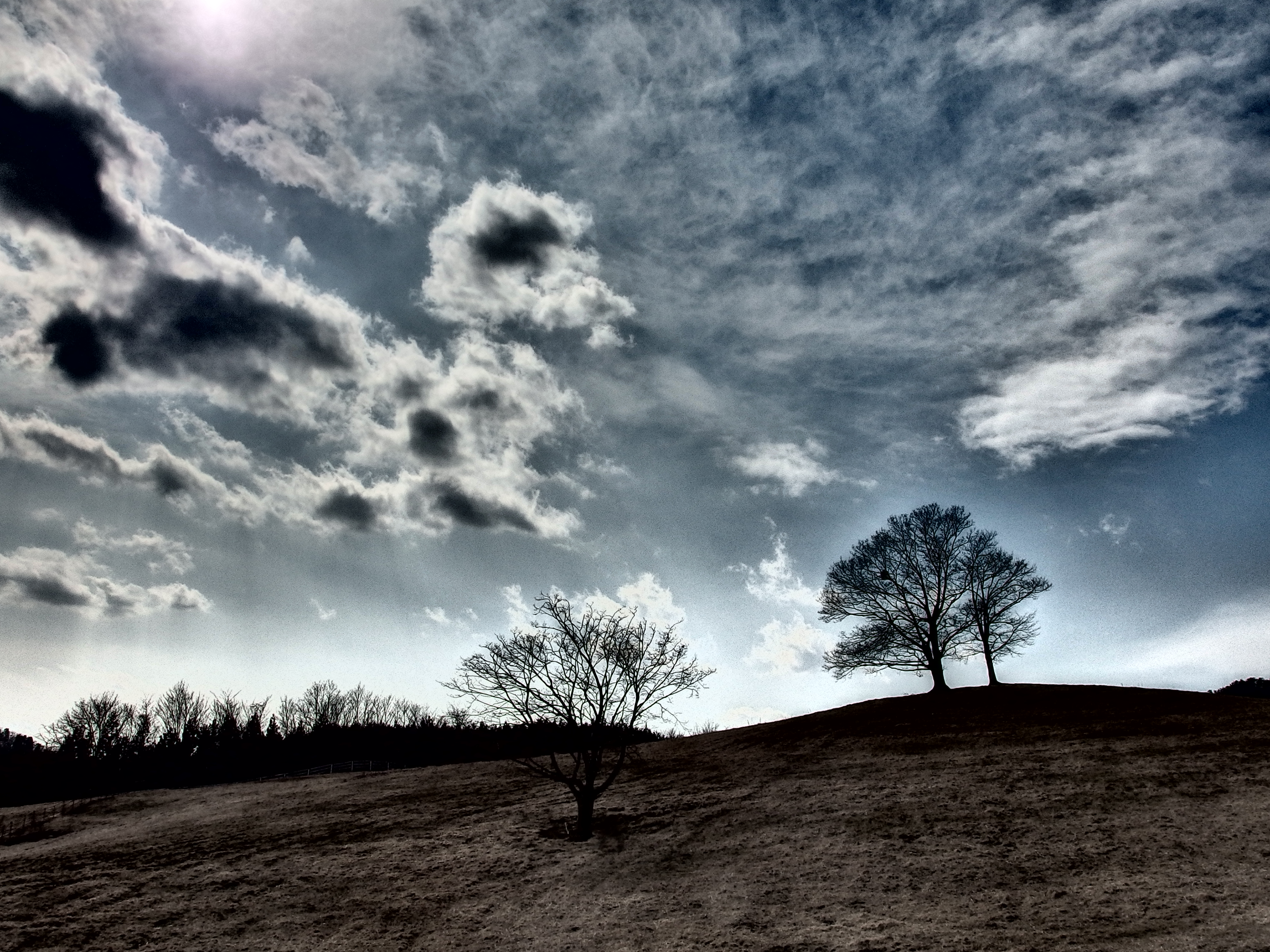 2015-03-14 12.30.13.jpg